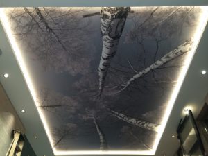 Entreprise plafond tendu à froid lyon